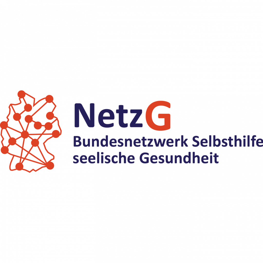 netzg logo aspect ratio 1400 1400