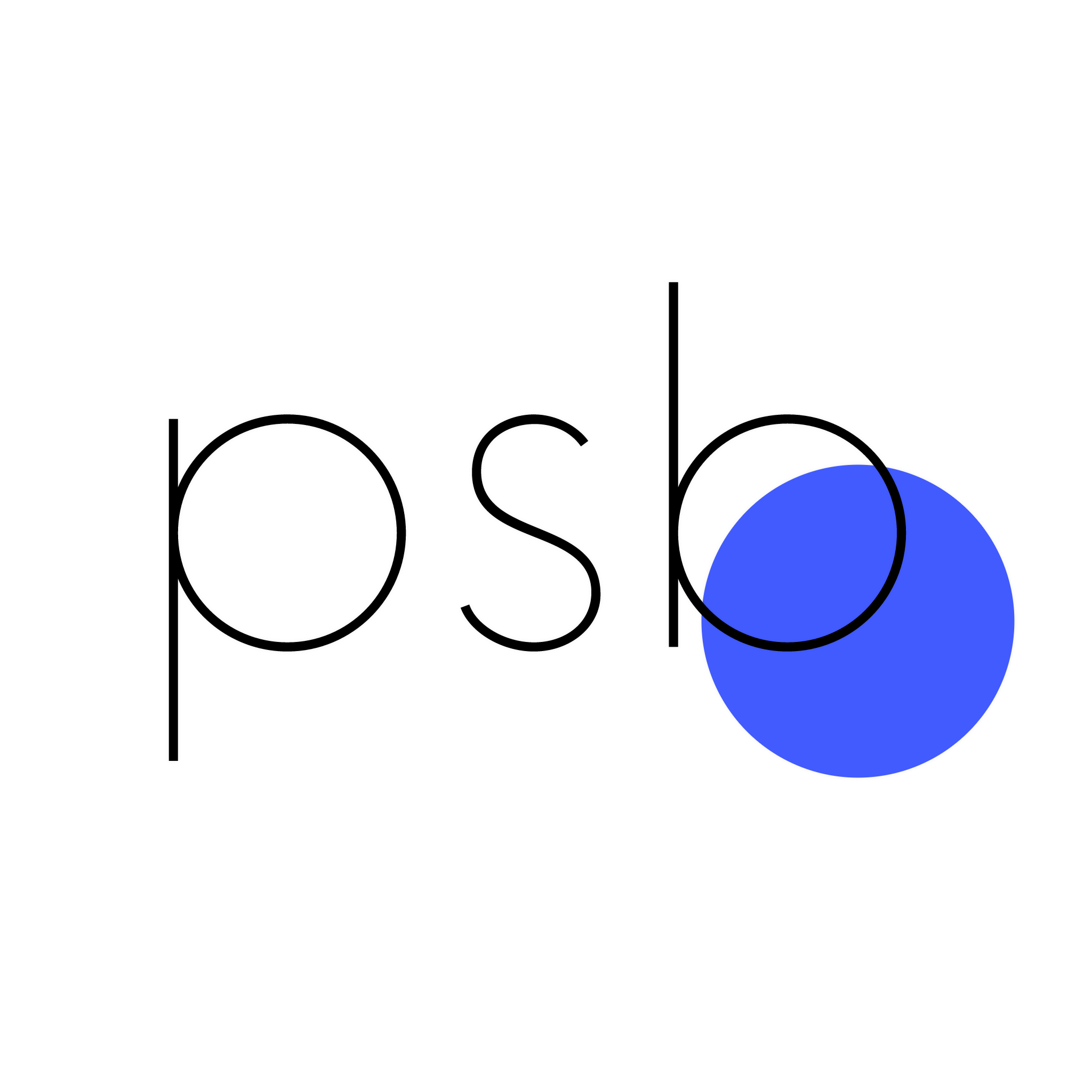 Psychosozialbildung e. V.